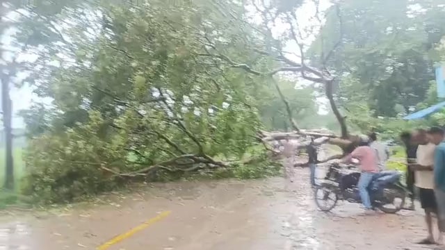 बिलरियागंज रोड
