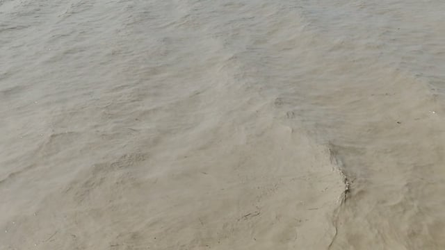 गंडक के बढ़ते पानी से बगहा में हाहाकार, घरों में घुसा पानी; सड़क किनारे पल्ली के नीचे कट रही जिंदगी