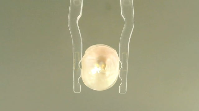 Basra Pearl 4.78 Carats — video