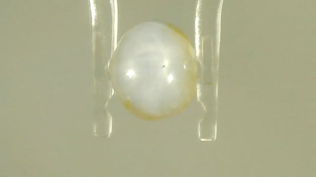 Srilankan Star Sapphire 4.39 Carat — video