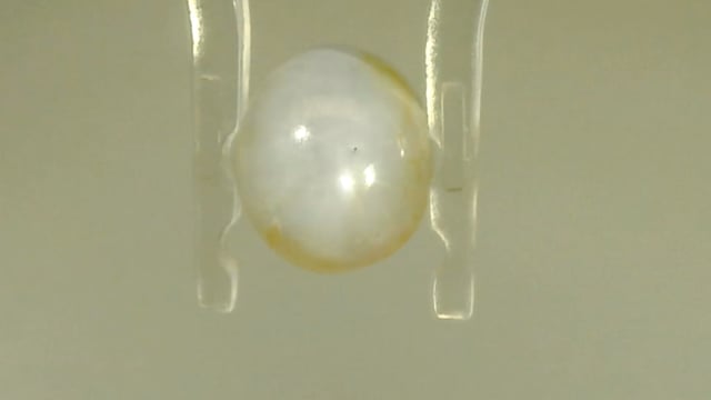 Srilankan Star Sapphire 4.39 Carat — video