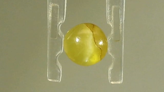 Srilankan Chrysoberyl Lehsunia  0.75 Carat — video