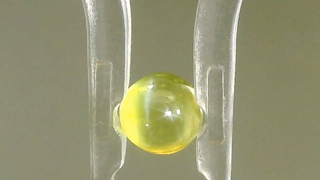 Srilankan Chrysoberyl Cat's Eye 0.47 Carat — video