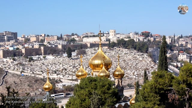 Jerusalem walking tour (video): Garden of Gethsemane – Garden Paths and Valley Views
