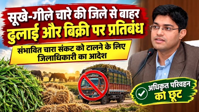 सूखे-गीले चारे की जिले से बाहर ढुलाई और बिक्री पर प्रतिबंध

संभावित चारा संकट को टालने के लिए जिलाधिकारी का आदेश अधिकृत परिवहन को छूट