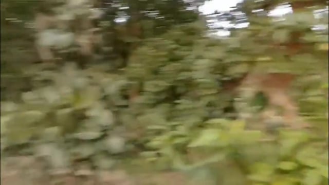 उपायुक्त श्री रामनिवास यादव के सख्त निर्देश पर अवैध शराब के खिलाफ बड़ी कार्रवाई, 750 लीटर चुलाई शराब बरामद...