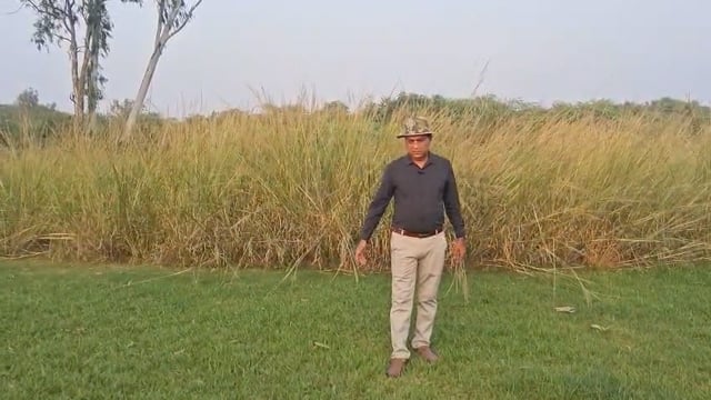 नहर पुल पर एक साथ दिखे पांच तेंदुए ग्रामीणों में खौफ। की जांच डी. एफ. ओ. हापुड़  गौतम सिंह ने की