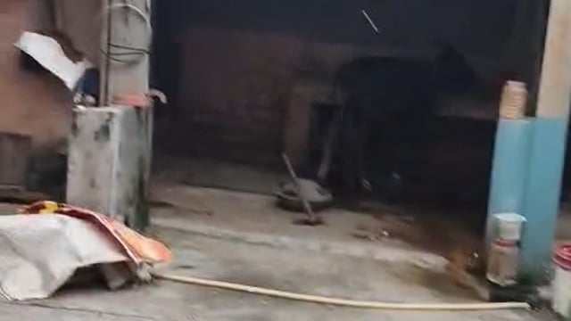 ब्रेक किंग न्यूज उत्तराखंड मे  हरिद्वार के ग्राम  धारीवाला में  जमकर बरसे ओले आज सुबह 10:00 बजे