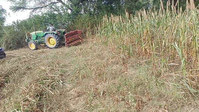 बाजार की खेत की ट्रैक्टर वाली मशीन से कटाई होती हुई