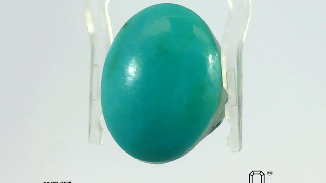 Arizona turquoise 19.89 Carat — video