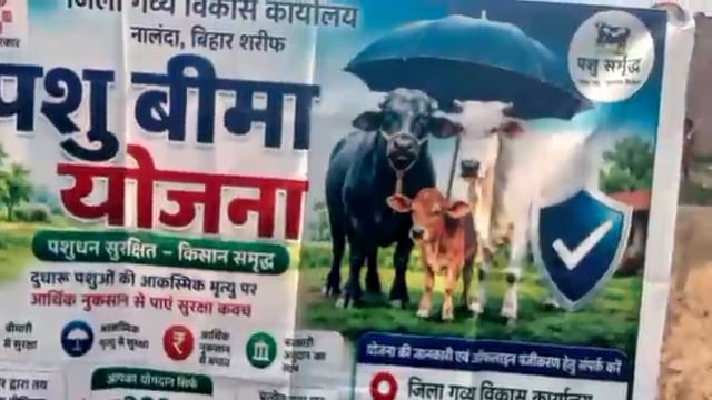 जिला गव्य विकास नालंदा बिहार पशु बीमा योजना के बारे मे पाटिल सर सभी दूध किसानों को जानकारी 