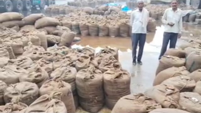 -मथुरा मंडी में बारिश का कहर! जलमग्न हुई धान-बाजरे की फसल, किसानों की मेहनत पर, फिरा पानी,,