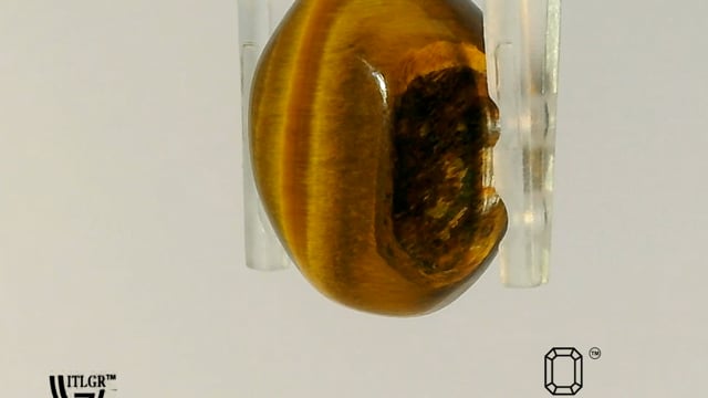 Tiger's eye 7.81 Carat — video