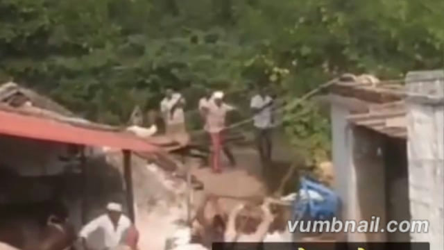 भिंड में दो पक्षों में भीषण बवाल कहीं गोली  कहीं लाठी डंडे घटना का वीडियो वायरल