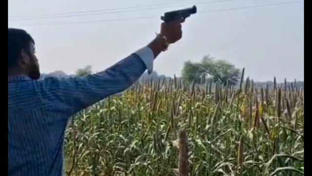 मथुरा में दबंगई का वीडियो वायरल! नगौड़ा रोड पर युवक ने पिस्टल से की खुलेआम फायरिंग, अवैध हथियार होने की आशंका से मचा हड़कंप