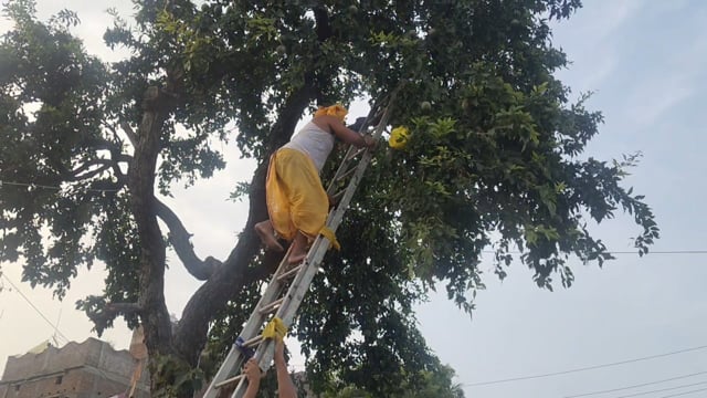 कल महाष्टमी पर खुलेंगे रजौन प्रखंड क्षेत्र के विभिन्न दुर्गा मंदिर के पट,डलिया चढ़ाने को लेकर तैयारियां पूरी 
