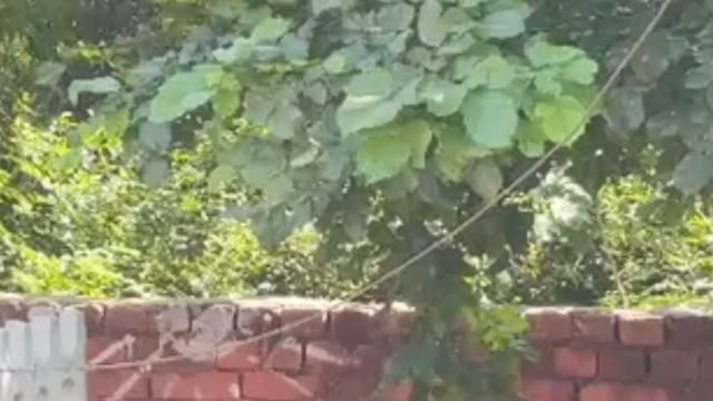 वृंदावन में झूलते बिजली के तार की चपेट में आया मासूम, हालत नाजुक