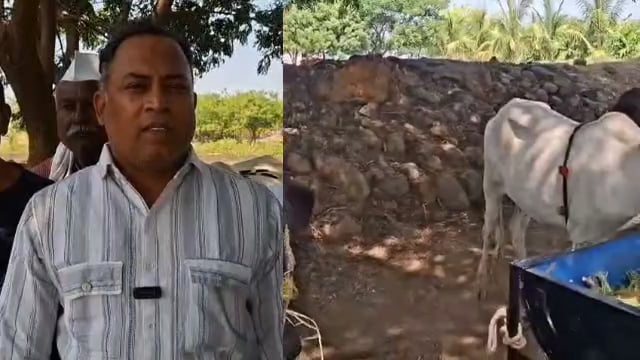 हासेगावं येथे लोकसहभागातून मोफत जनावरांसाठी चारा छावणी सुरू,शेतकऱ्यांना मिळाला आधार