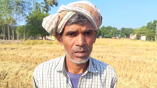 संग्रामपुर थाना क्षेत्र के पाण्डेय का पुरवा, गूजीपुर गांव में गुरुवार को 16 वर्षीय किशोर का शव धान के खेत में मिलने से