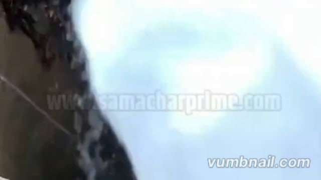 मथुरा की गांव शैरखनी नगरिया में कुएं में गिरी भैंस ग्रामीणों ने बड़ी मशक्कत के बाद निकालट