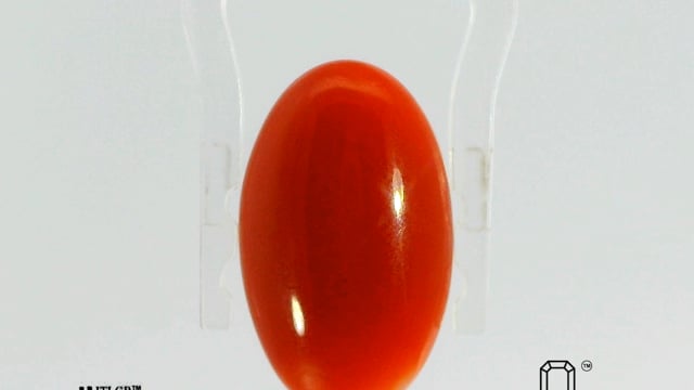 Japanese Coral 7.26 Carat — video