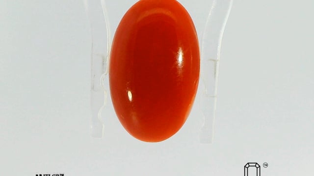 Japanese Coral 4.58 Carat — video