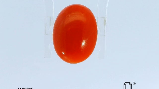 Japanese Coral 3.85 Carat — video