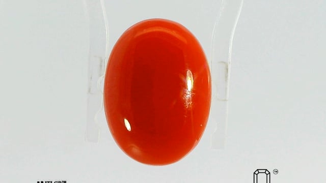 Japanese Coral 5.80 Carat — video