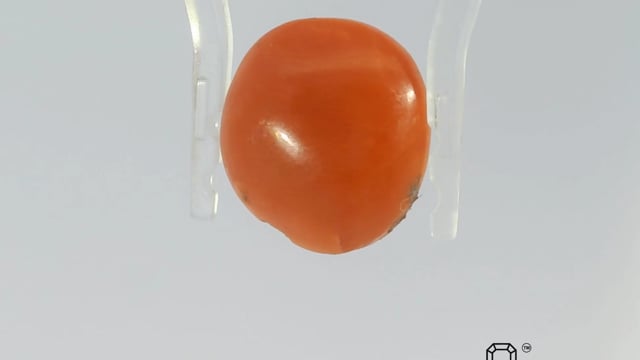 Japanese Coral 6.29 Carat — video