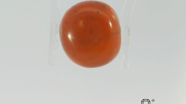 Japanese Coral 13.53 Carat — video