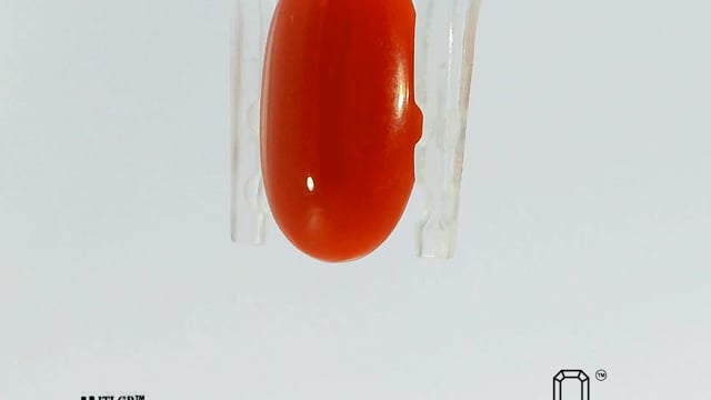 Japanese Coral 5.01 Carat — video