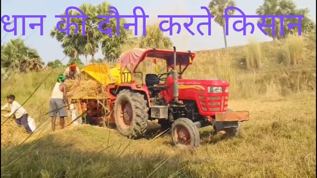 सिरदला प्रखंड में धान की कटनी शुरू, अच्छी पैदावार से किसानों में खुशी