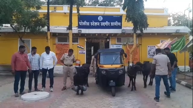 वगारी चोरट्यांला उदगीर ग्रामीण पोलिसांनी ठोकल्या बेड्या ३ वगारी व एक ऑटो जप्त