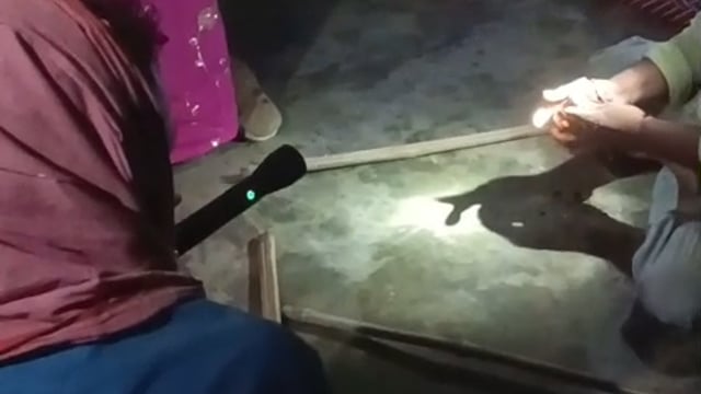 सांप निकालने वाले सपेरे को ही सांप ने काटा मौत 