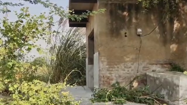 गोवर्धन में खेत के अंदर मिला घरेलू बिजली का मीटर, जेई ने मारा छापा
