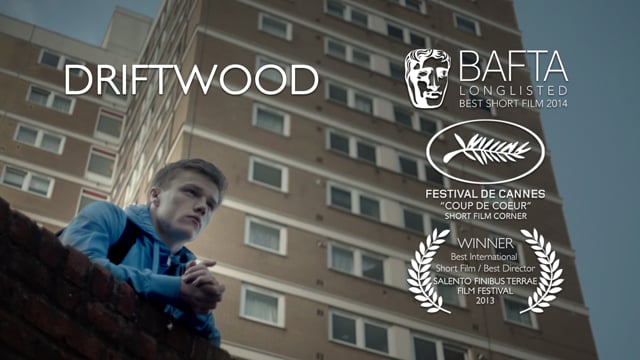 Driftwood - Available Now