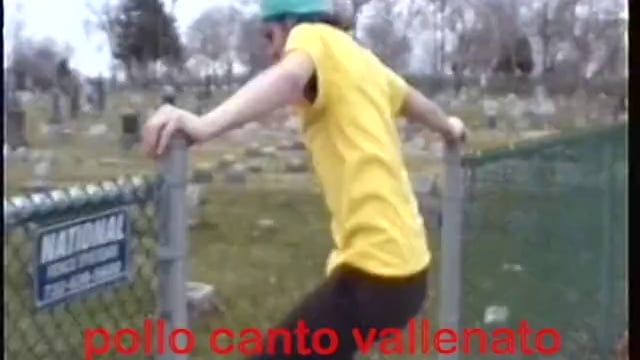 pollo cante teaser trailz