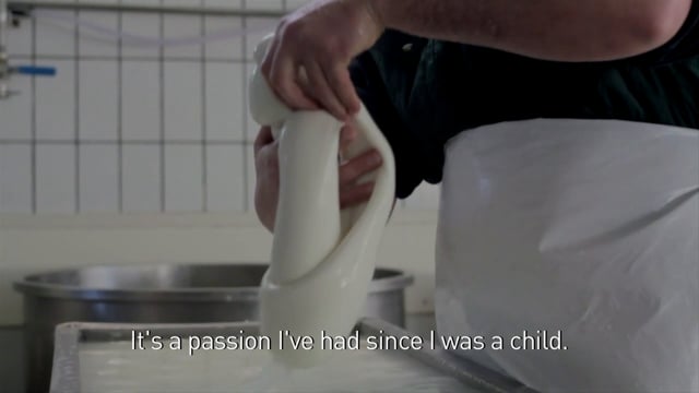 MAKING MOZZARELLA