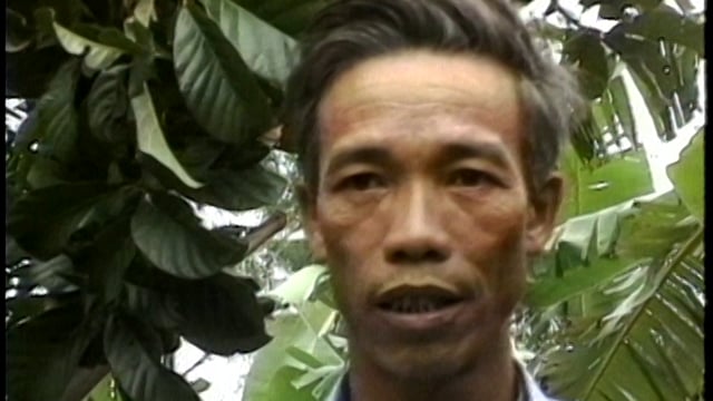 A World Beneath the War