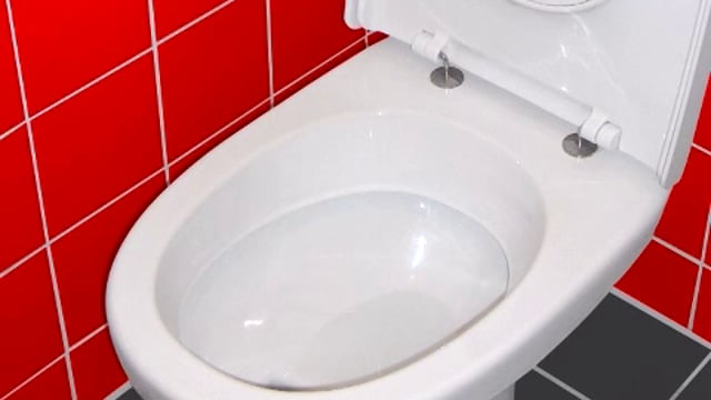HG - Gel Nettoyant WC Ultra-Puissant, Élimine Saleté & Calcaire