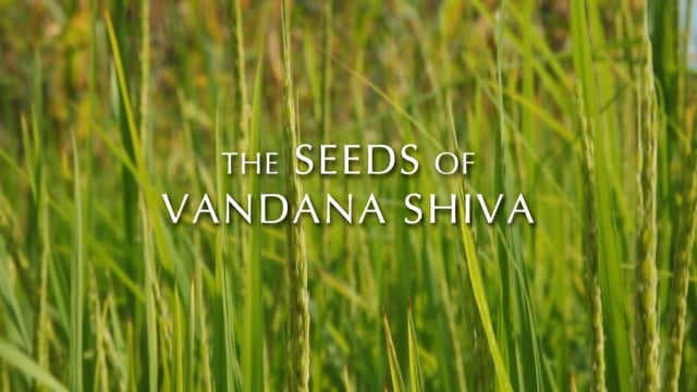 The Seeds of Vandana Shiva Sizzle Reel