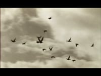 Bande-annonce de MONTEUSE ( en voir plus sur mon site : http://francine-lemaitre-monteuse.fr/)