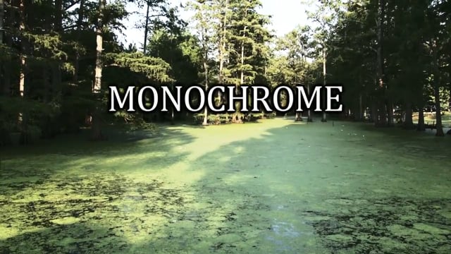 MONOCHROME- BLACK WHITE AND BLUE