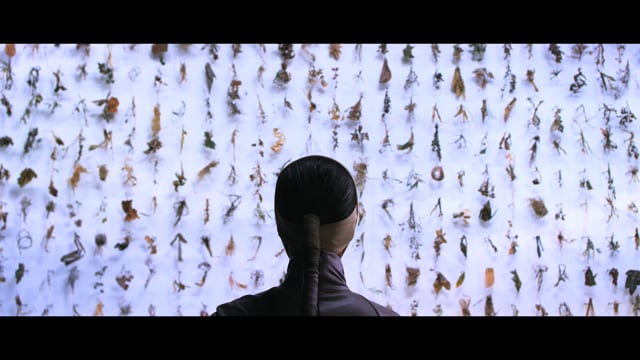 2015, Trailer_El Fin Del Mundo