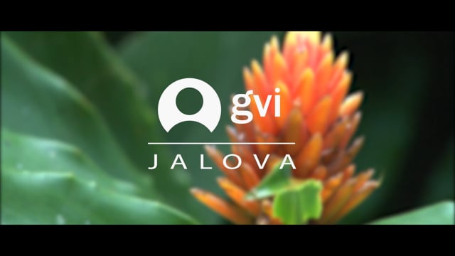 GVI Jalova Costa Rica