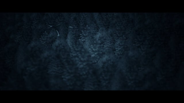 MILA FOG /official trailer/