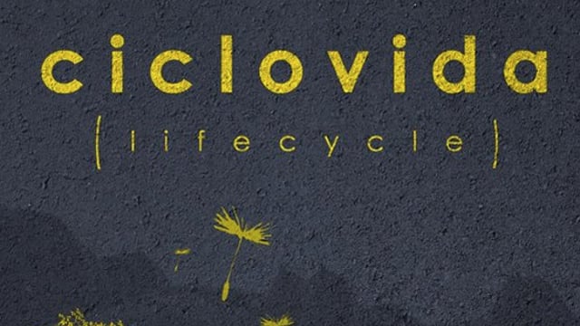Ciclovida: Lifecycle