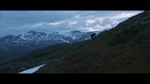 Stoerre vaerie / Norra Storfjället - Teaser