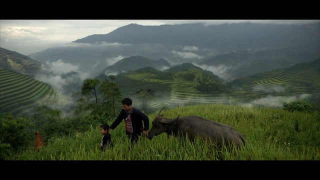 Hao Hao | Vietnames Moments
