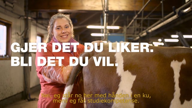 Naturlinjen på Stend VGS